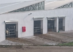 Rekonštrukcia kravin